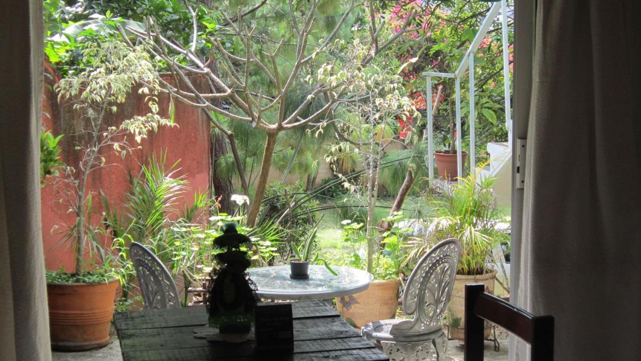 Hotel Villa Oaxaca Bagian luar foto